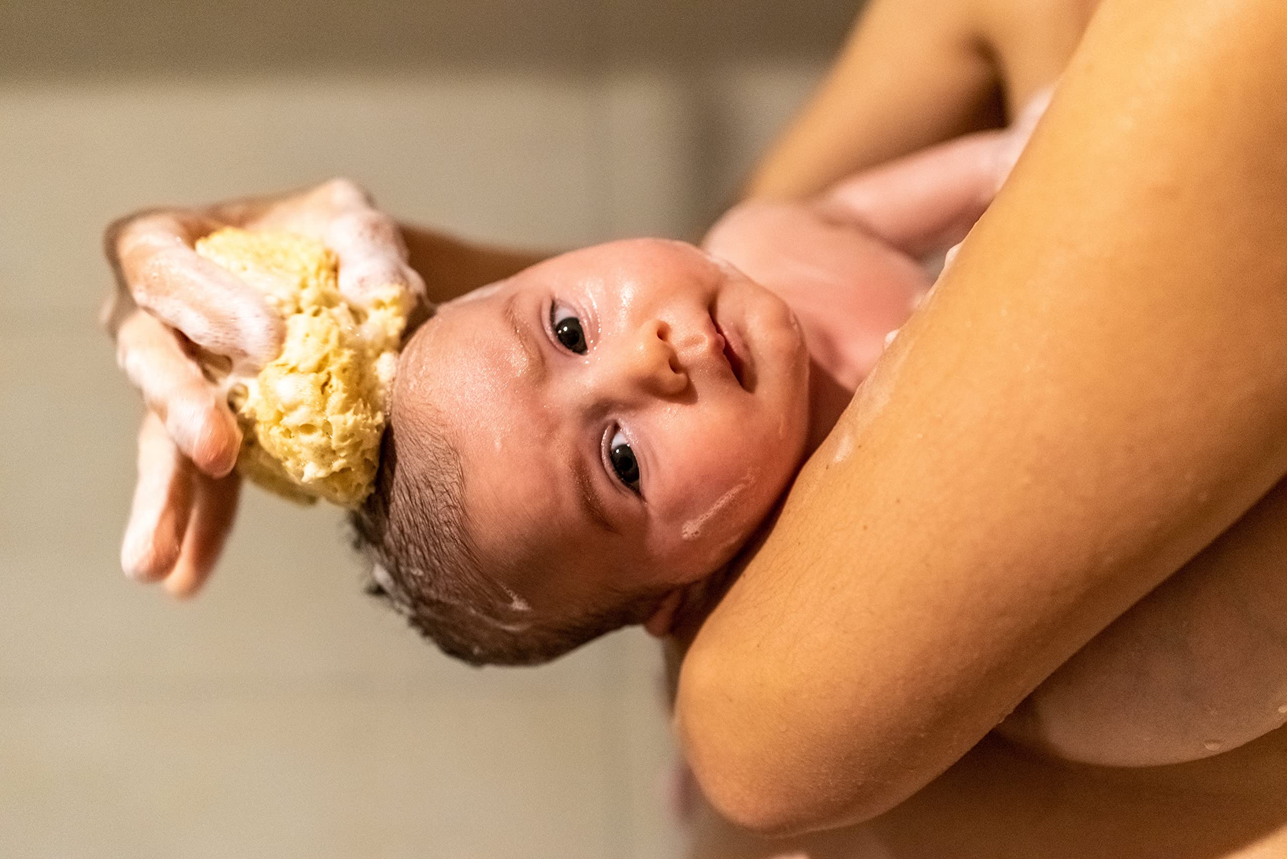 Real Sea Sponges for Babies - 6 Pk Bath Care Set, Gentle, Kind on Skin, for Bathing Washing Body Eyes, Ears Nose, Also for Newborn Toddler Kids; Baby Shower Spa Gift by Contented Infant®